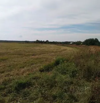 Участок в Московская область, Орехово-Зуевский городской округ, д. ...