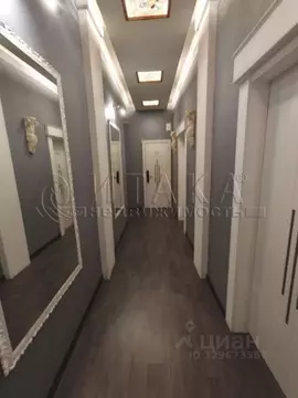 6-к кв. Санкт-Петербург Кузнецовская ул., 11 (185.6 м)