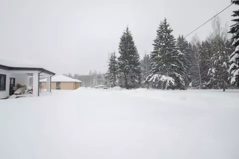 Участок в Калужская область, Калуга Секиотовская ул. (6.0 сот.)