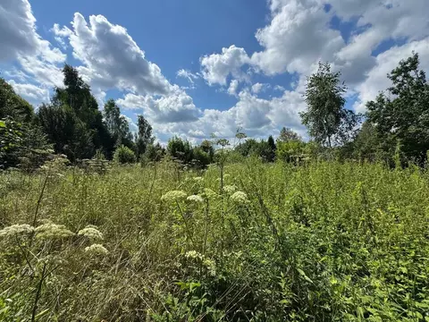 Участок в Московская область, Волоколамский муниципальный округ, д. ...