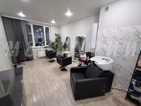 1-к кв. Новосибирская область, Новосибирск ул. Кирова, 113/2 (32.2 м)