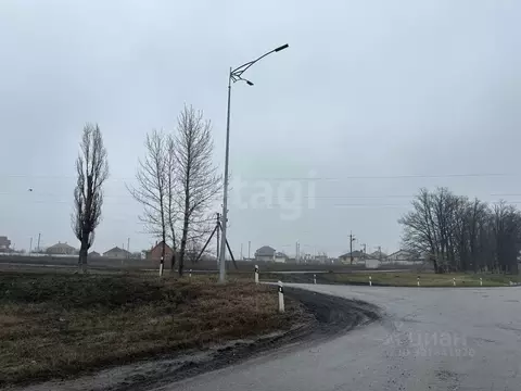 Участок в Белгородская область, Белгородский район, Дубовское с/пос, ...