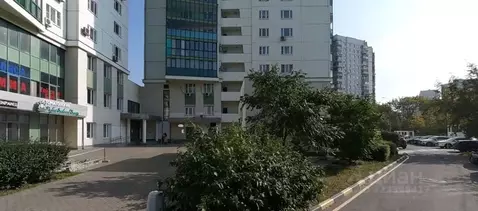 Помещение свободного назначения в Москва ул. Покрышкина, 3 (14 м)