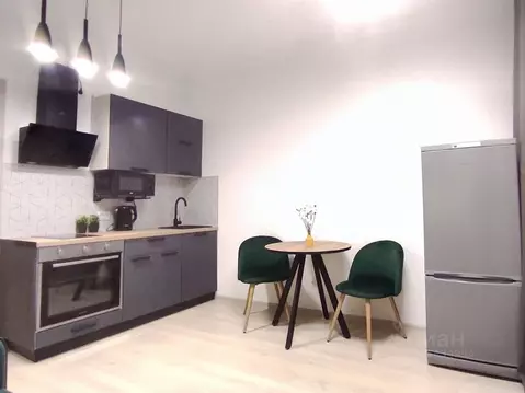 Студия Санкт-Петербург аллея Арцеуловская, 9 (24.0 м)