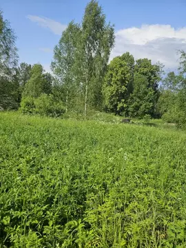 Участок в Новгородская область, Валдайский район, Рощинское с/пос, д. ...