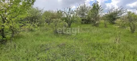 Участок в Воронежская область, Рамонский район, с. Русская Гвоздевка  ...