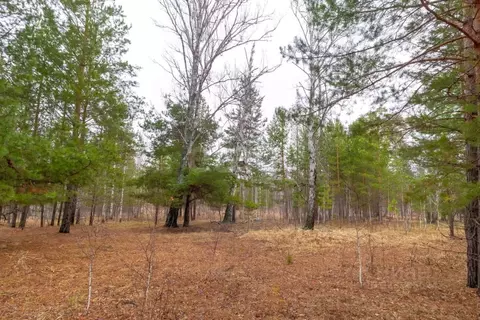 Участок в Тюменская область, Тюменский муниципальный округ Салаирский ...