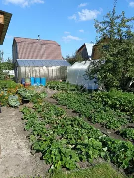 Дом в Тюменская область, Тюмень Бирюсинка СНТ, ул. Садовая, 54 (32 м)