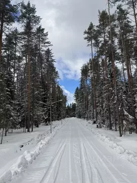 Участок в Ленинградская область, Всеволожский район, Бугровское ...