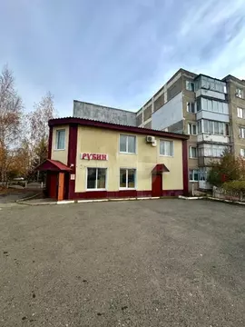 Помещение свободного назначения в Мордовия, с. Лямбирь ул. ...