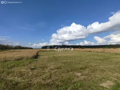 Участок в Московская область, городской округ Коломна, деревня Шапкино ...