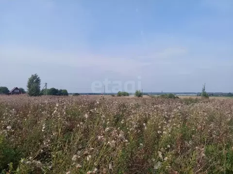 Участок в Вологодская область, пос. Ермаково  (16.22 сот.)