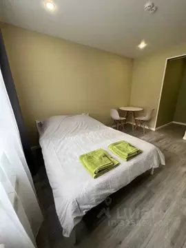 Студия Московская область, Егорьевск Огородная ул., 10 (18.0 м)