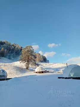 Участок в Алтай, Чемальский район, Узнезинское с/пос, с. Узнезя ул. ...