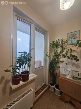 1-комнатная квартира: Нижний Новгород, улица Даргомыжского, 15А (30.2 ...