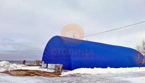 Склад в Московская область, Коломна городской округ, с. Клишино  ...