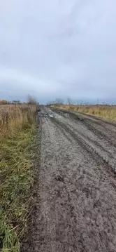 Участок в Владимирская область, Муром д. Орлово, ул. Советская, 1Д ...