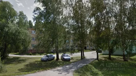 3-к кв. Рязанская область, Сасовский муниципальный округ, с. Малый ...