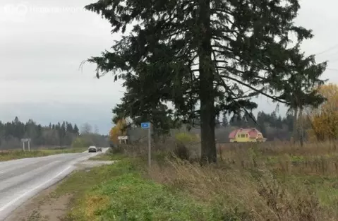 Участок в Волосовский район, деревня Клопицы (16 м)