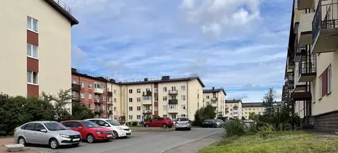 Студия Ленинградская область, Всеволожский район, пос. Щеглово 92 ...