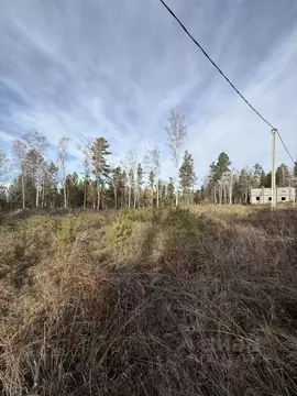 Участок в Иркутская область, Иркутский муниципальный округ, с. Мамоны, ...