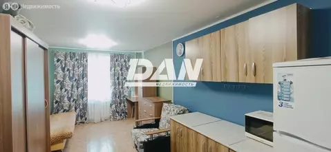 1к в 20-комнатной квартире (17.6 м)