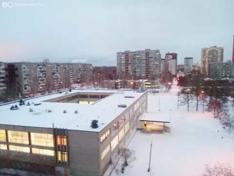 2-комнатная квартира: Екатеринбург, улица Бебеля, 142 (48.7 м)