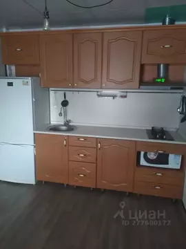 Дом в Алтайский край, Барнаул ул. Антона Петрова (55 м)