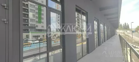 Помещение свободного назначения в Краснодарский край, Новороссийск ...