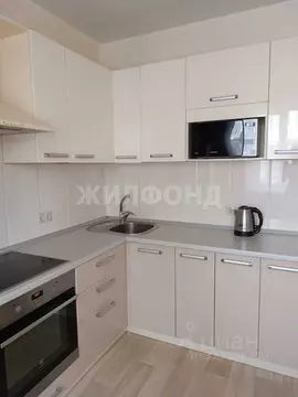 2-к кв. Новосибирская область, Новосибирск ул. Дуси Ковальчук, 250 ...