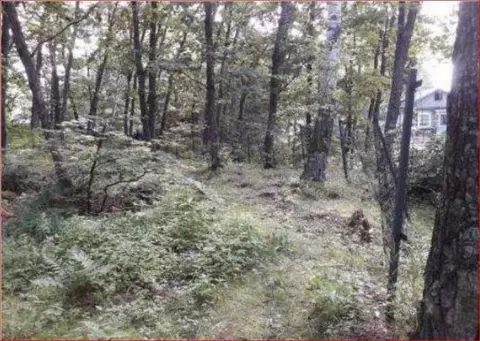 Участок в Приморский край, Владивосток Шахтовая ул., 18В (10.0 сот.)