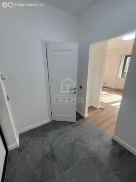 Квартира-студия: Санкт-Петербург, Планерная улица, 99 (26.1 м)