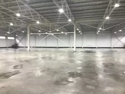 Склад в Московская область, Щелково городской округ, Монино пгт  (2200 ...