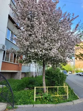 2-к кв. Челябинская область, Миасс ул. Лихачева, 24 (67.0 м)