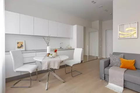 Студия Москва ш. Энтузиастов, 3к1 (28.0 м)