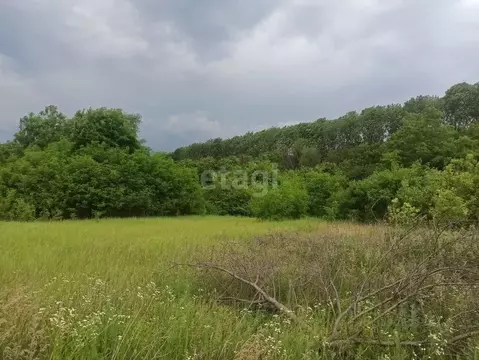 Участок в Белгородская область, Ракитянский район, Дмитриевское с/пос, ...