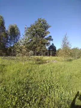 Участок в Псковская область, Псковский район, Карамышевская волость, ...