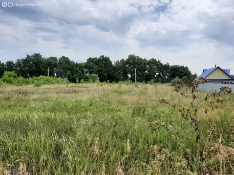 Участок в Хрипуновский, Речная улица (12 м)