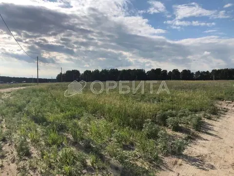 Участок в Тюменская область, Тюменский муниципальный округ, д. ...