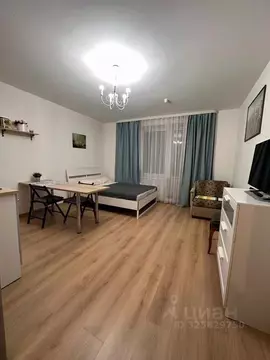 Студия Санкт-Петербург пос. Песочный, Садовая ул., 81 (25.0 м)