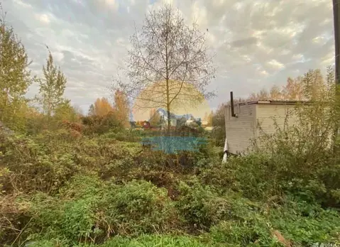 Участок в Тверская область, Конаковский муниципальный округ, Речицы ...