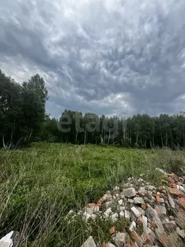 Участок в Тюменская область, Нижнетавдинский муниципальный округ, ...