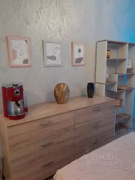 Студия Санкт-Петербург Планерная ул., 87к1 (23.4 м)