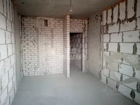 Студия Воронежская область, Воронеж ул. 9 Января, 233/40 (25.0 м)