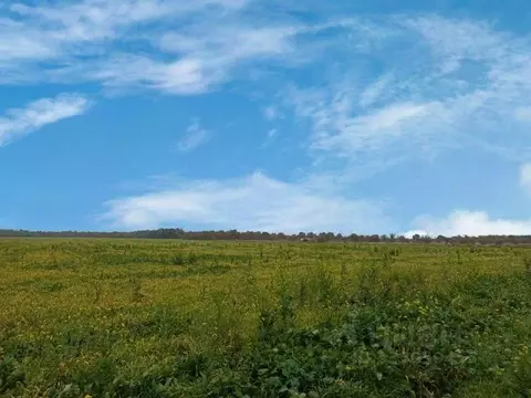 Участок в Краснодарский край, Анапа муниципальный округ, Чекон хут. ...