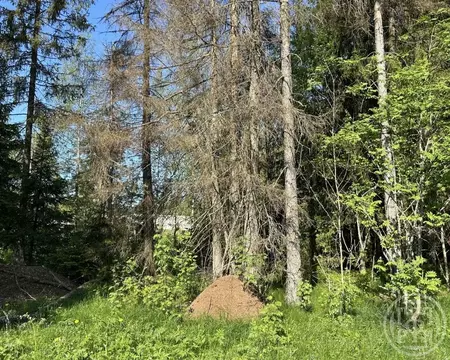 Участок в Ленинградская область, Выборгский район, Первомайское с/пос, ...