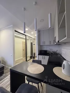 Студия Краснодарский край, Сочи ул. Яна Фабрициуса, 66/5 (23.8 м)