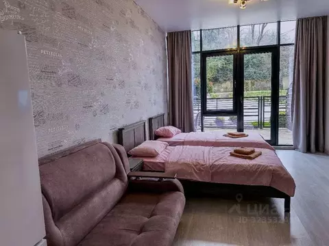 Студия Краснодарский край, Сочи ул. Полтавская, 3 (27.0 м)