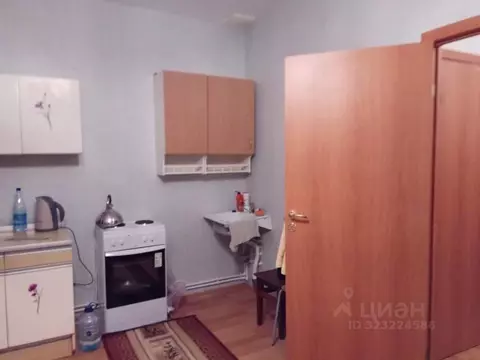 Студия Ленинградская область, Гатчинский муниципальный округ, пос. ...