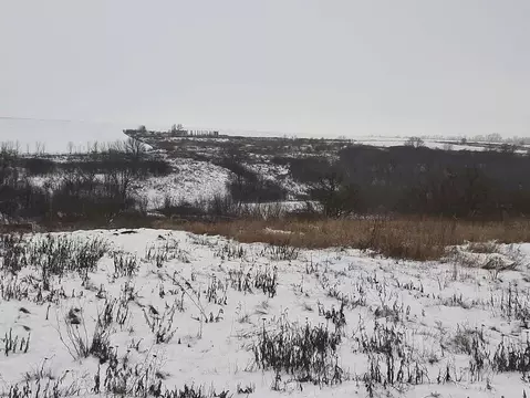 Участок в Белгородская область, Белгородский район, Крутологское ...